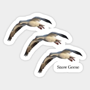 Three Snows Sticker